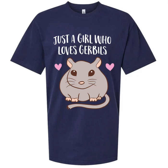 Gerbil Girl Pet Owner Gift Just a Girl Who Loves Gerbils Sueded Cloud Jersey T-Shirt