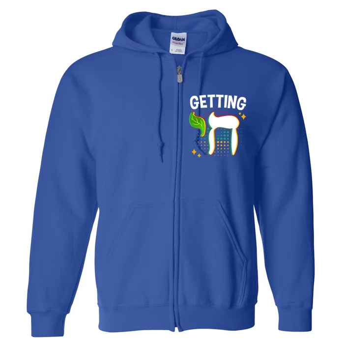 Getting High Chai Jewish Chanukkah Hanukkah Passover Sukkot Gift Full Zip Hoodie