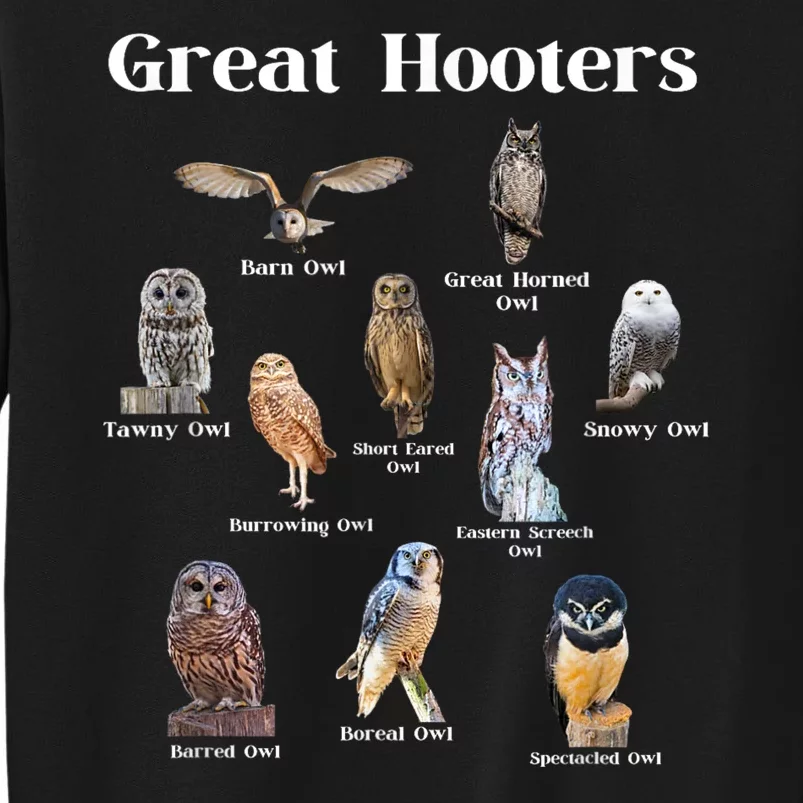 Great Hooter Funny Owl Lover Birding Birdwatcher Dad Joke Sweatshirt