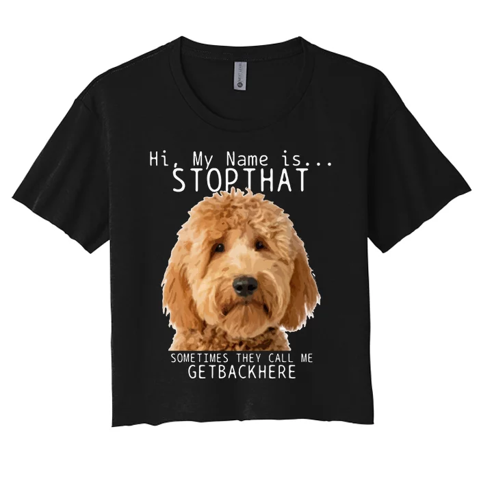 Goldendoodle Hi My Name Is Stop That Funny Dog Doodle Mom Women's Crop Top Tee