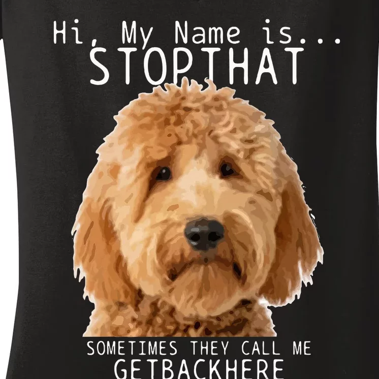 Goldendoodle Hi My Name Is Stop That Funny Dog Doodle Mom Women's V-Neck T-Shirt