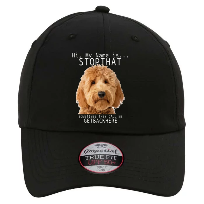 Goldendoodle Hi My Name Is Stop That Funny Dog Doodle Mom The Original Performance Cap