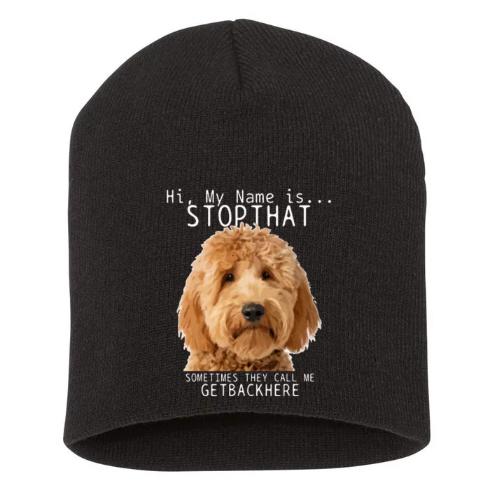 Goldendoodle Hi My Name Is Stop That Funny Dog Doodle Mom Short Acrylic Beanie