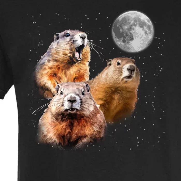 Groundhog Head Moon Funny Groundhog Day Garment-Dyed Heavyweight T-Shirt