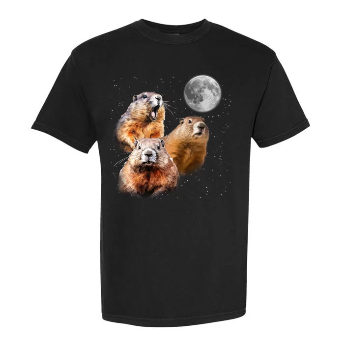 Groundhog Head Moon Funny Groundhog Day Garment-Dyed Heavyweight T-Shirt