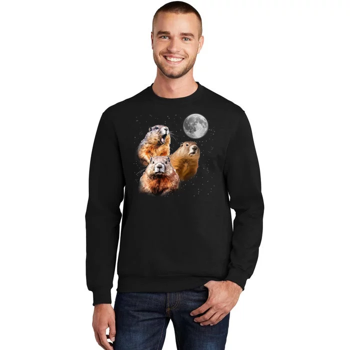 Groundhog Head Moon Funny Groundhog Day Sweatshirt