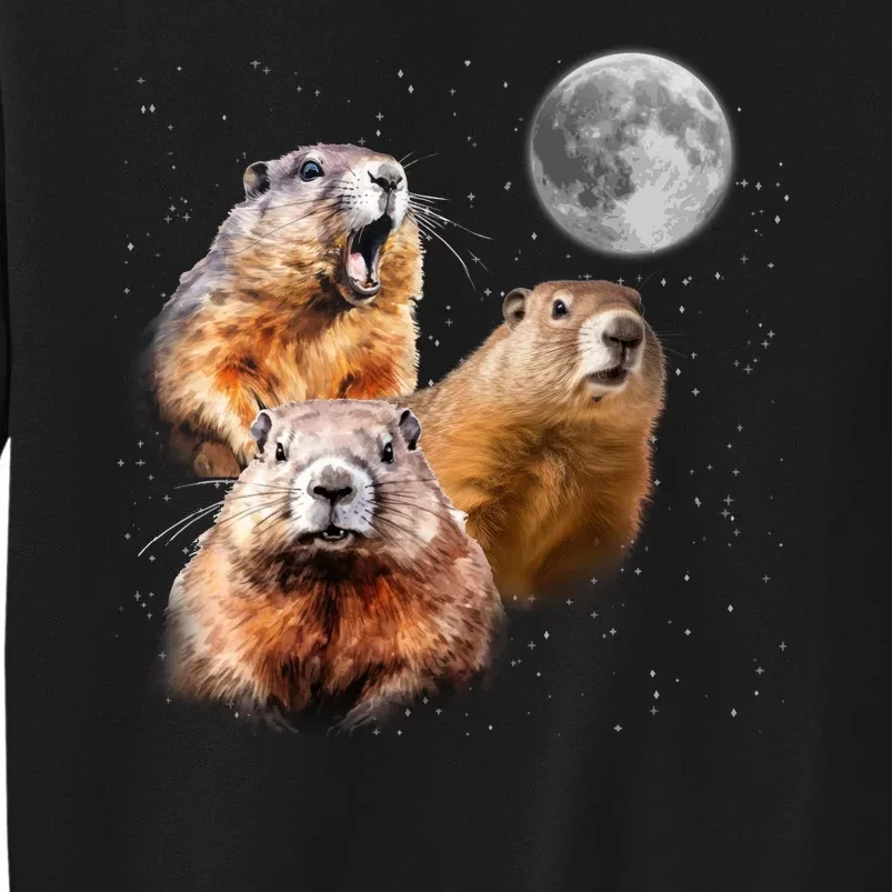 Groundhog Head Moon Funny Groundhog Day Sweatshirt