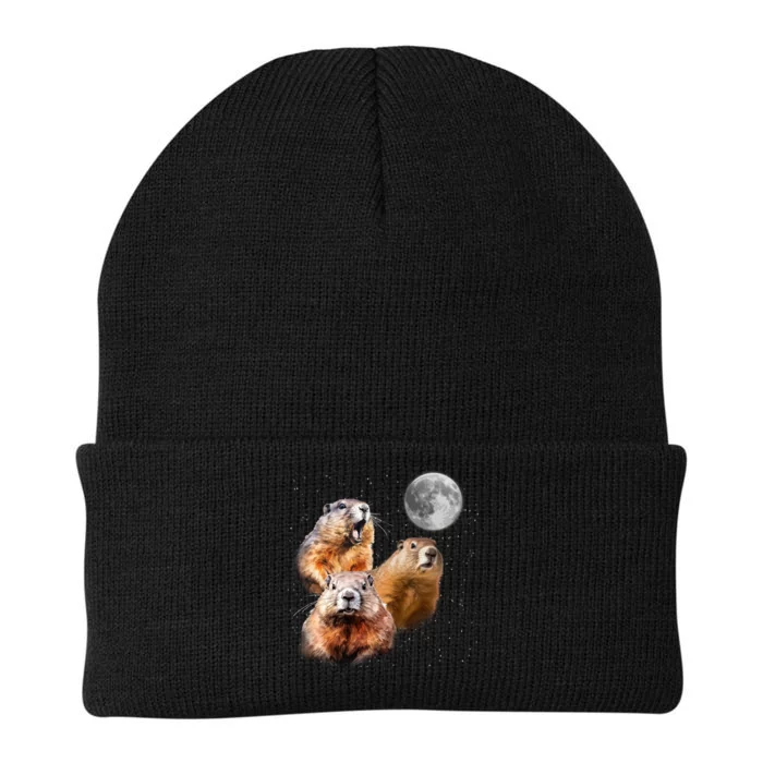 Groundhog Head Moon Funny Groundhog Day Knit Cap Winter Beanie