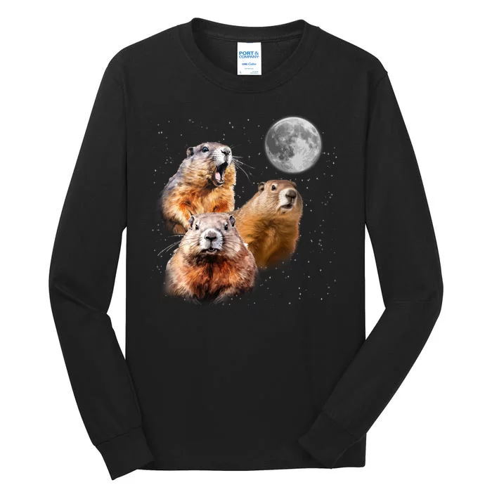 Groundhog Head Moon Funny Groundhog Day Tall Long Sleeve T-Shirt