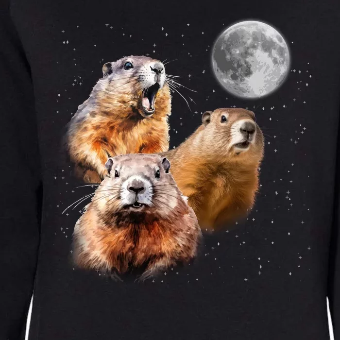 Groundhog Head Moon Funny Groundhog Day Womens California Wash Sweatshirt