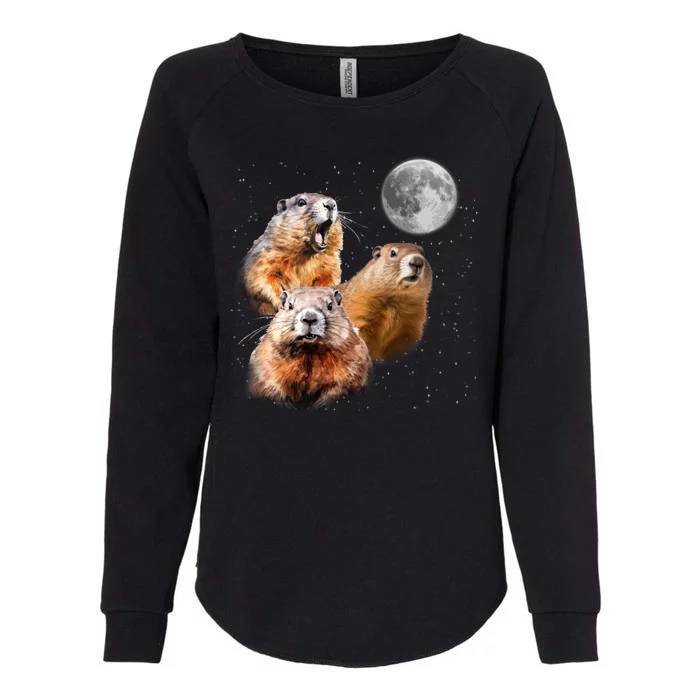 Groundhog Head Moon Funny Groundhog Day Womens California Wash Sweatshirt