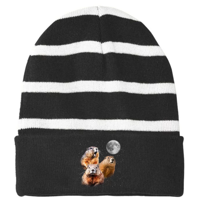 Groundhog Head Moon Funny Groundhog Day Striped Beanie with Solid Band