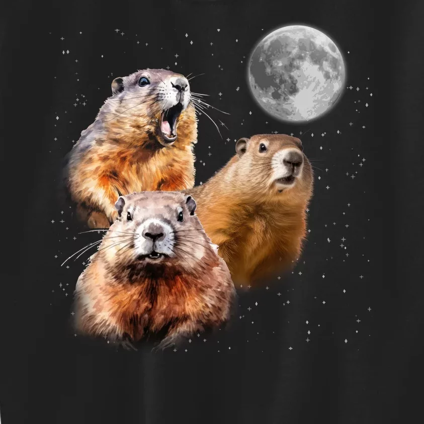 Groundhog Head Moon Funny Groundhog Day Kids Sweatshirt