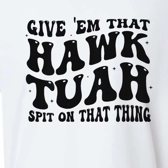 Groovy Hawk Tuah Spit On That Thing Sueded Cloud Jersey T-Shirt