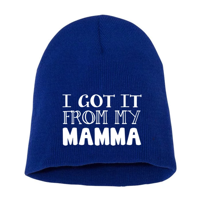 Got It From My Mamma Family Outfit Mom Family Matching Mommy Cute Gift Short Acrylic Beanie