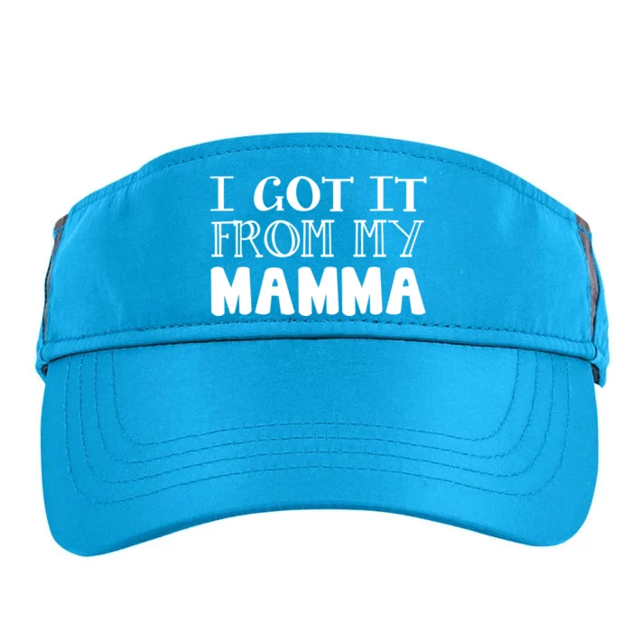 Got It From My Mamma Family Outfit Mom Family Matching Mommy Cute Gift Adult Drive Performance Visor