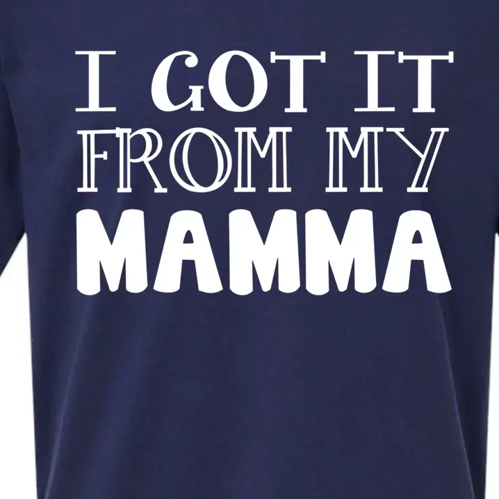 Got It From My Mamma Family Outfit Mom Family Matching Mommy Cute Gift Sueded Cloud Jersey T-Shirt