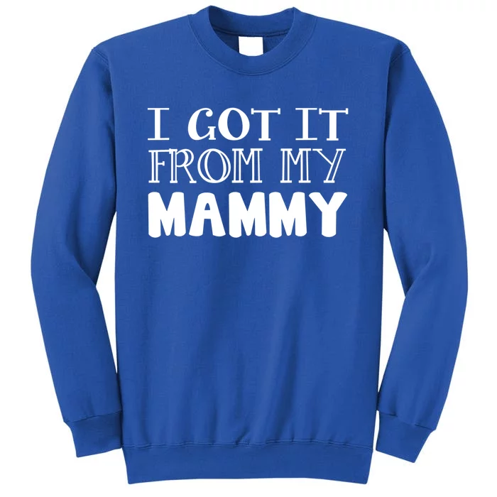 Got It From My Mammy Family Outfit Mom Family Matching Mommy Gift Sweatshirt