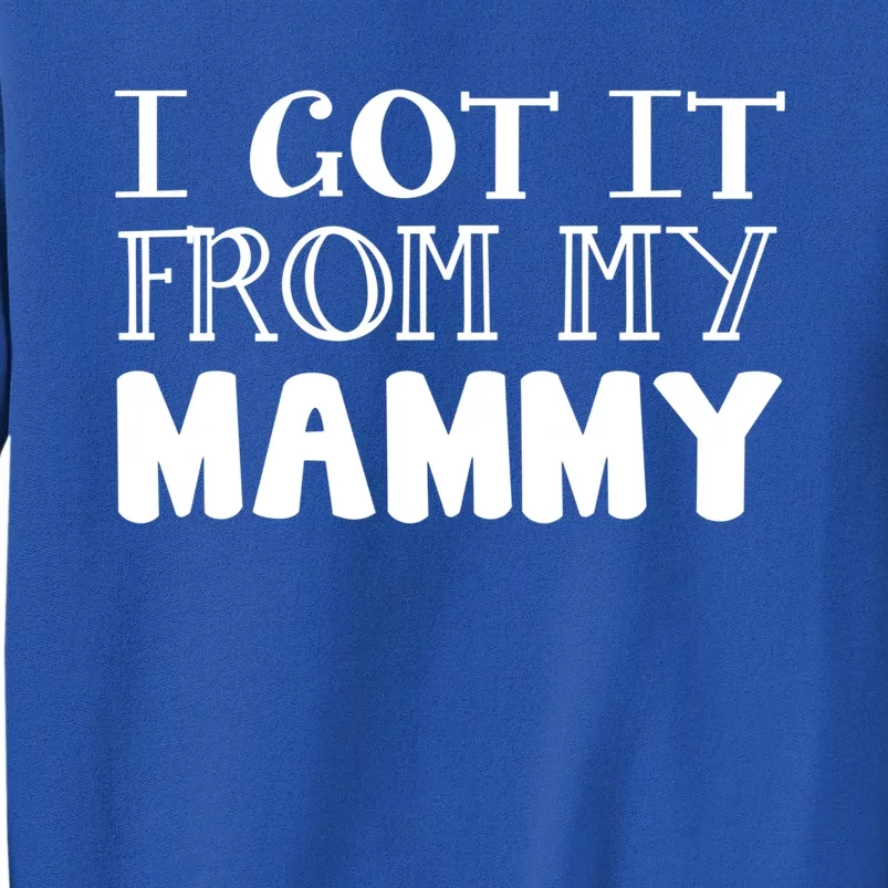 Got It From My Mammy Family Outfit Mom Family Matching Mommy Gift Tall Sweatshirt