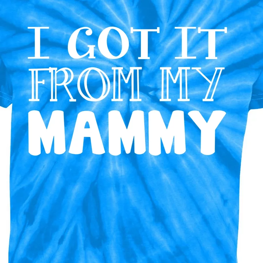 Got It From My Mammy Family Outfit Mom Family Matching Mommy Gift Kids Tie-Dye T-Shirt