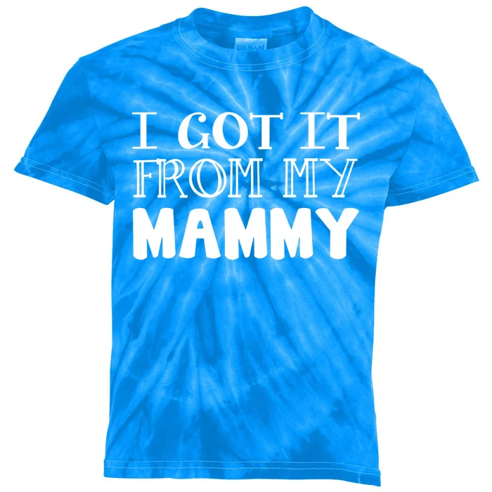 Got It From My Mammy Family Outfit Mom Family Matching Mommy Gift Kids Tie-Dye T-Shirt