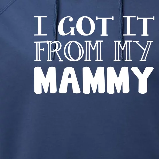 Got It From My Mammy Family Outfit Mom Family Matching Mommy Gift Performance Fleece Hoodie