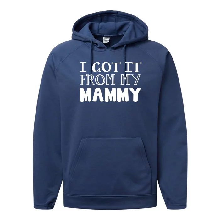 Got It From My Mammy Family Outfit Mom Family Matching Mommy Gift Performance Fleece Hoodie