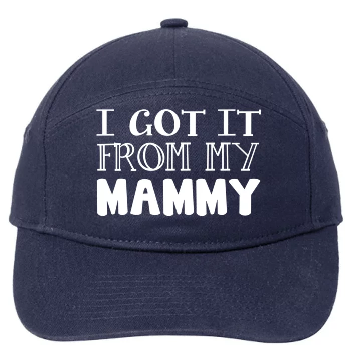 Got It From My Mammy Family Outfit Mom Family Matching Mommy Gift 7-Panel Snapback Hat