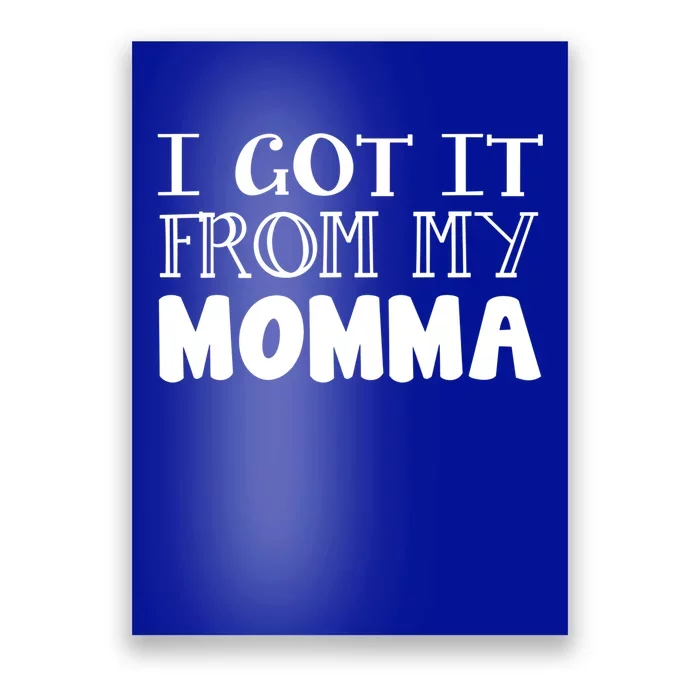 Got It From My Momma Family Outfit Mom Family Matching Mommy Meaningful Gift Poster