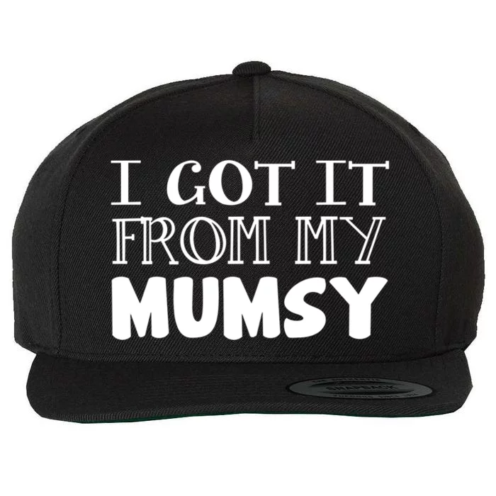 Got It From My Mumsy Family Outfit Mom Family Matching Mommy Cool Gift Wool Snapback Cap