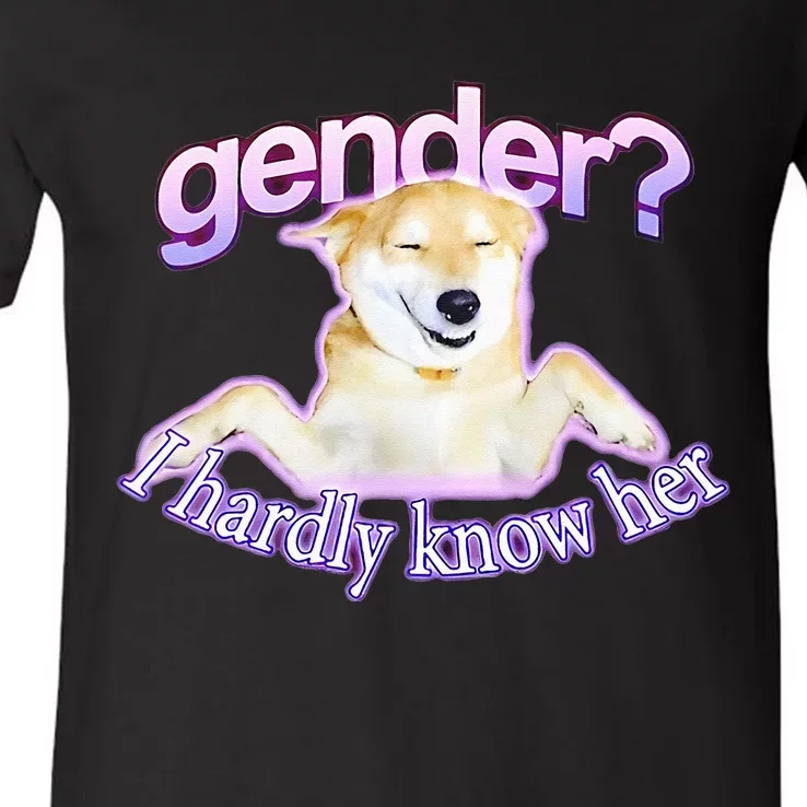 Gender I Hardly Know Her V-Neck T-Shirt