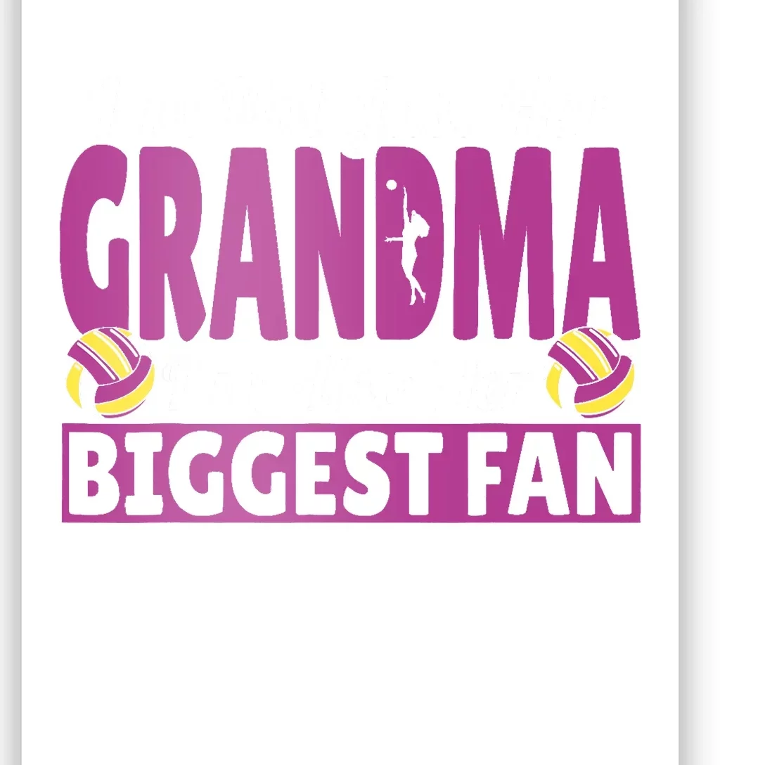 Grandmother Im Her Grandma Im Her Biggest Fan Volleyball Poster