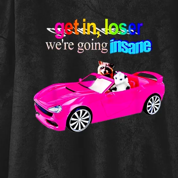 Get In Loser WeRe Going Insane Hooded Wearable Blanket