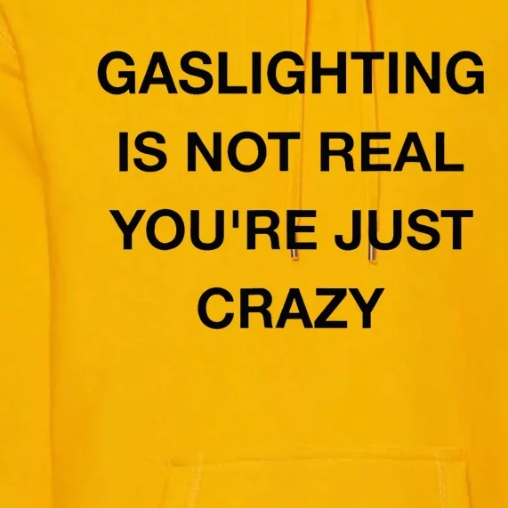 Gaslighting Is Not Real Premium Hoodie