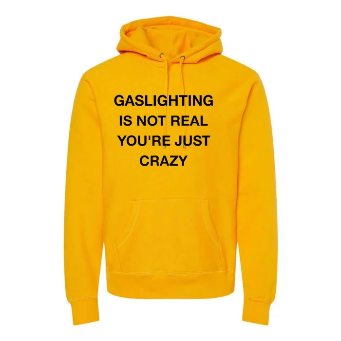 Gaslighting Is Not Real Premium Hoodie