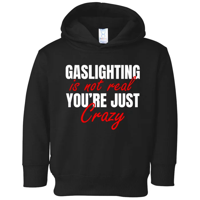 Gaslighting Is Not Real You're Just Crazy Funny Meme Toddler Hoodie