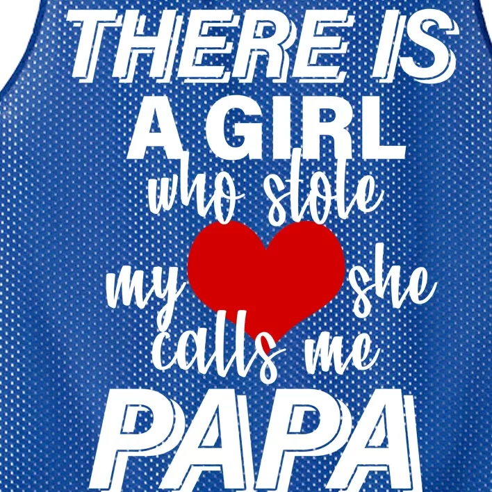 Girl Who Stole My Heat Calls Me Papa Fathers Day Mesh Reversible Basketball Jersey Tank