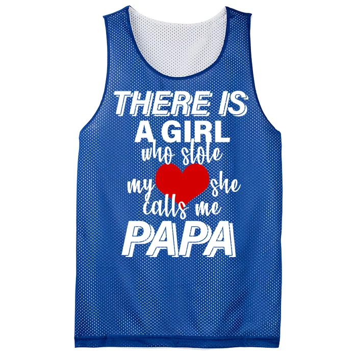 Girl Who Stole My Heat Calls Me Papa Fathers Day Mesh Reversible Basketball Jersey Tank