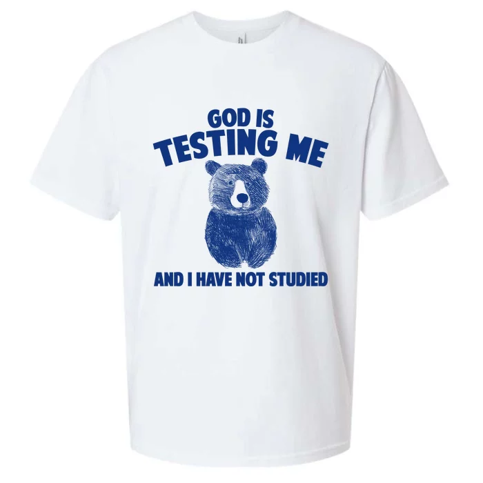 God Is Testing Me And I Have Not Studied Sueded Cloud Jersey T-Shirt