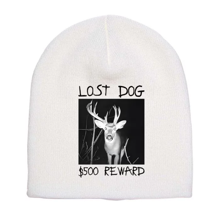 Gotfunny Lost Dog $500 Reward Short Acrylic Beanie