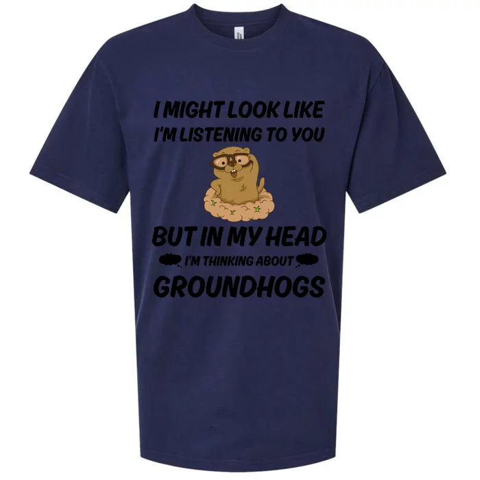 Groundhog Lover Gift Sueded Cloud Jersey T-Shirt