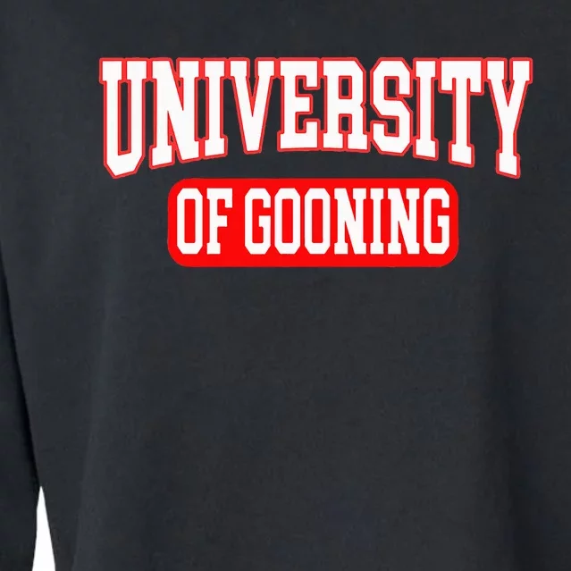 Gooning Looksmaxxing Cropped Pullover Crew