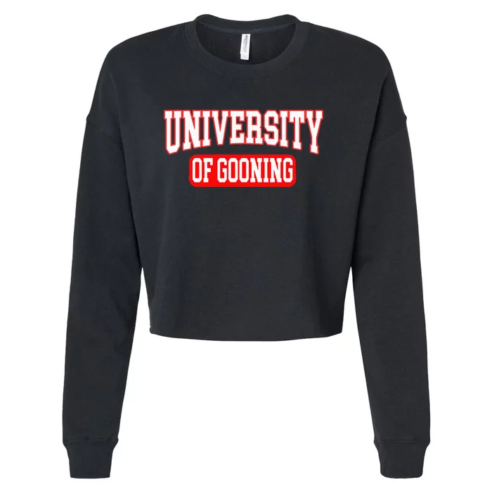 Gooning Looksmaxxing Cropped Pullover Crew