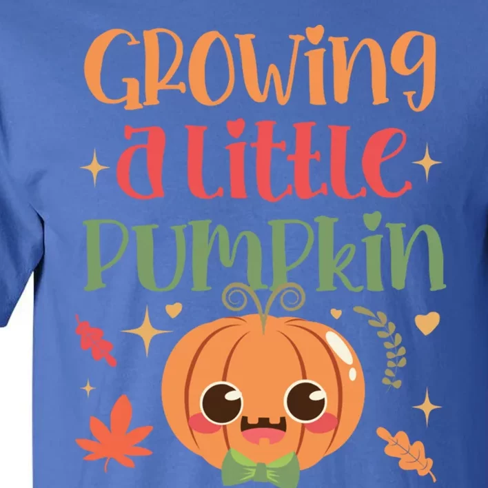 Growing Little Pumpkin Thanksgiving Pregnancy Announcet Gift Tall T-Shirt