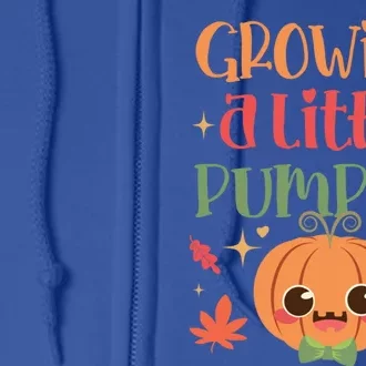 Growing Little Pumpkin Thanksgiving Pregnancy Announcet Gift Full Zip Hoodie