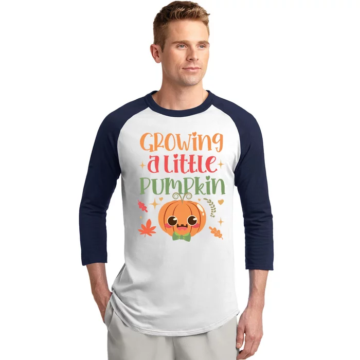 Growing Little Pumpkin Thanksgiving Pregnancy Announcet Gift Baseball Sleeve Shirt