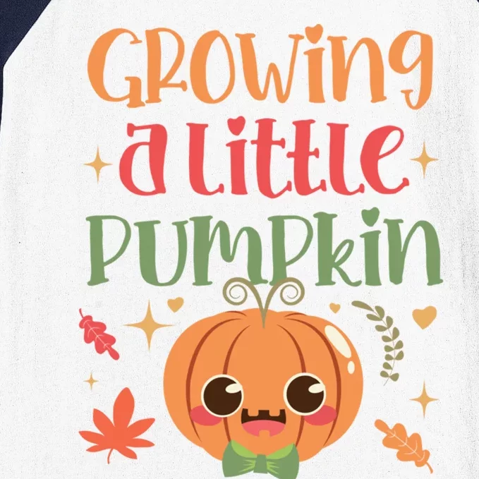 Growing Little Pumpkin Thanksgiving Pregnancy Announcet Gift Baseball Sleeve Shirt