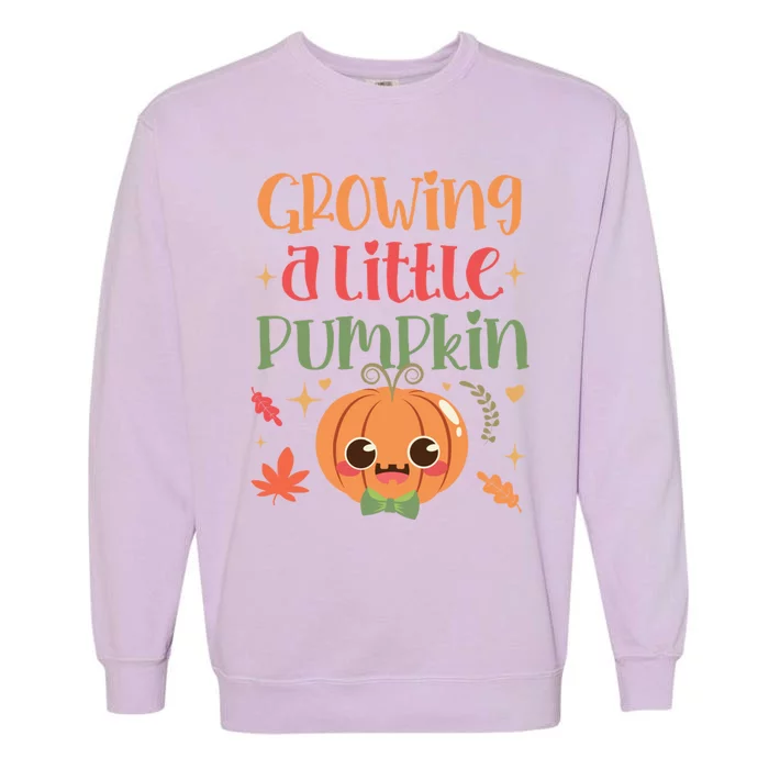 Growing Little Pumpkin Thanksgiving Pregnancy Announcet Gift Garment-Dyed Sweatshirt