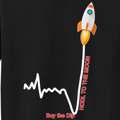 GME Stock AMC Hold To The Moon Buy The Dip Tall Sweatshirt
