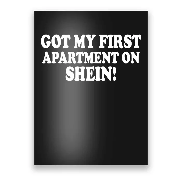 Got My First Apartment On Shein Poster